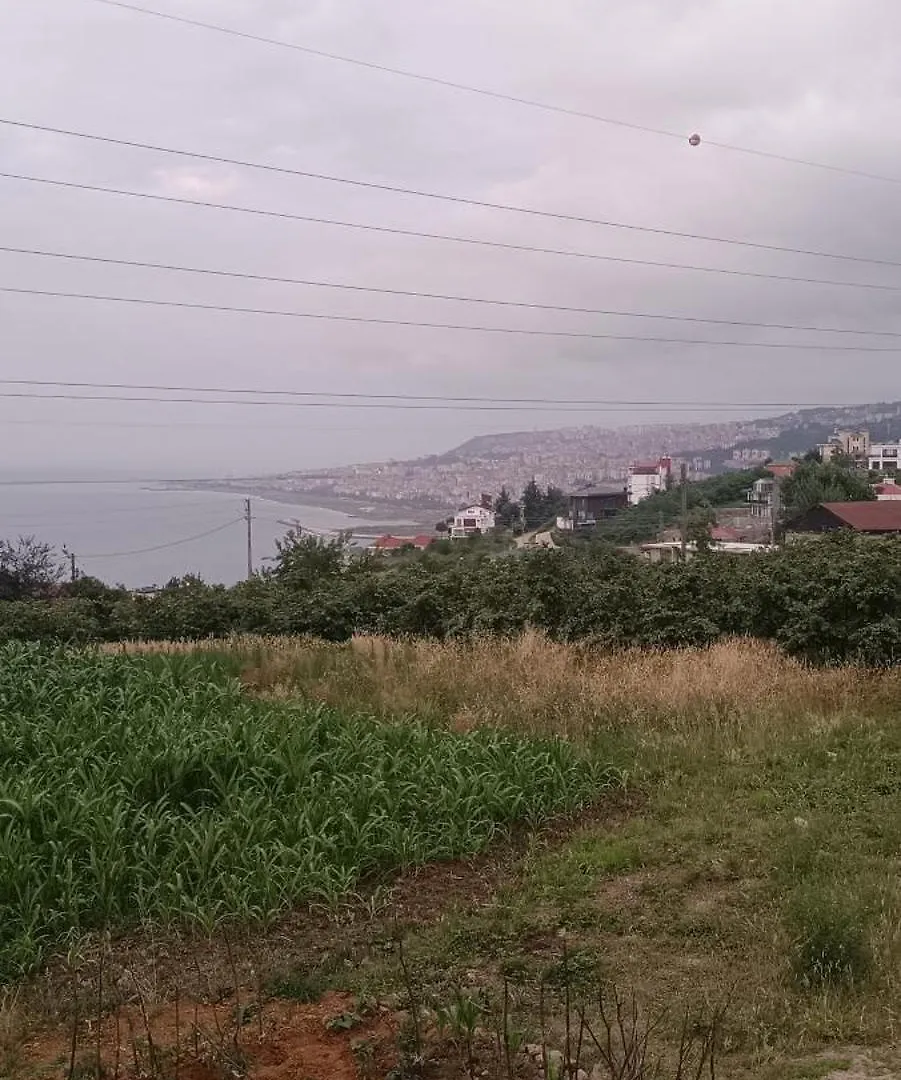 Trabzon Tosun Bungalov